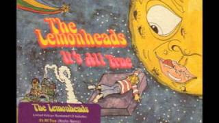 The Lemonheads  Live Forever Oasis Cover [upl. by Alekat150]