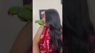 Deepa di ki pheli rakhi ❤️ [upl. by Mal]