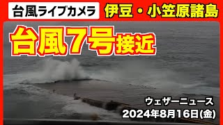 【ライブカメラ】台風7号 関東接近 〜伊豆・小笠原諸島〜 2024816 [upl. by Ahseret]