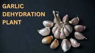 GARLIC DEHYDRATION PLANT [upl. by Odraboel984]