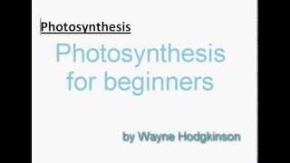 MYP  Photosynthesis for beginners [upl. by Akerboom]