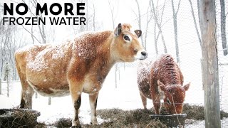 The Amazing ELECTRIC FREE FROST PROOF Automatic Livestock Waterer [upl. by Gare853]