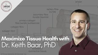 Dr Keith Baar PhD  Maximize Tissue Health [upl. by Remat816]