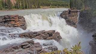 Athabasca Falls in Jasper National Park [upl. by Anauq]