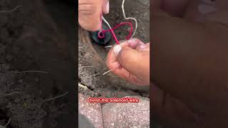 HOW to WIRE sprinkler VALVE solenoid irrigation reels fyp diy shorts rickythewaterboy [upl. by Seed65]