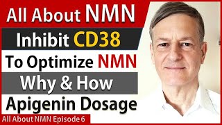 All About NMN Ep6  Inhibit CD38 To Optimize NMN  Why amp How  Apigenin Dosage [upl. by Ilah755]