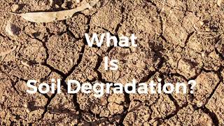 What is Soil Degradation  Causes of Soil Degradation Grade 6 Curriculum Based Test [upl. by Epperson]