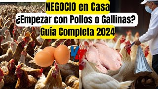 Que criar pollos de engorde o gallinas ponedoras NEGOCIO EN CASA [upl. by Kciderf970]