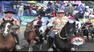 Rodeo Chileno Historia y Reglas generales [upl. by Akeyla634]