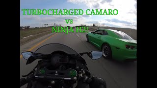 Ninja H2 Battles Turbo Camaro High Speed Wheelies [upl. by Nnylrats]