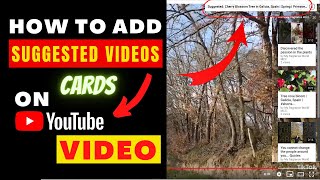 How to Add YouTube Suggested  Recommended Videos  2021 Tutorial [upl. by Wina]