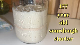 rehydrating a 177 year old sourdough starter [upl. by Pancho]