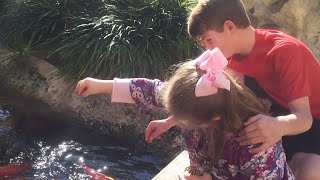 The Fish Pond Sarah amp MattyBRaps [upl. by Asatan]