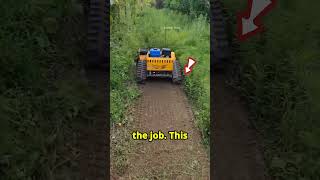 this man finds best Grass Trimmers machine shortsviral satisfying cars [upl. by Htomit]