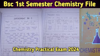 Bsc 1st Semester Chemistry Practical file📂 Chemistry ki file kaise banaye📂Bsc 1st Semester Chemistry [upl. by Nnasus653]