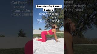 Try this simple yoga flow to improve your posture posture posturetips yogaflow yogapractice [upl. by Cleavland966]