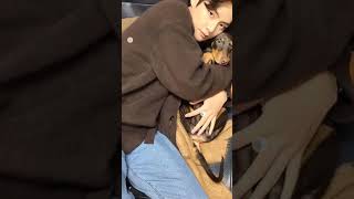 Bam and kim yeontan✨ with his hot🔥 dad🐶btskimtaehyung kimtaehyung bts btsv taehyung v btsarmy [upl. by Nagel205]