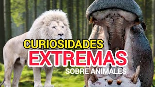 🐾 CURIOSIDADES sobre ANIMALES 🌍 QUE NO sabías HACE POCOS MINUTOS 🟡 [upl. by Kciregor349]