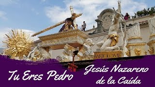 Jesús Nazareno de la Caída Tu Eres Pedro Obras Sociales del Hermano Pedro 2019 [upl. by Assener]