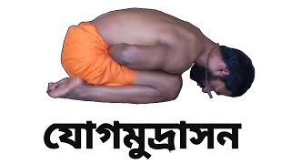 Yoga Mudrasana যোগমুদ্রা How To Do Yoga Mudrasana Properly  Bengali Yoga [upl. by Kal]