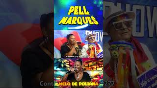 REGGAE DAS ANTIGAS MELO DE POLIANA shorts reggae reggae2024 [upl. by Vickie]