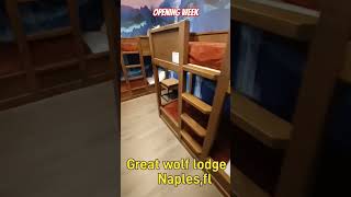 Great wolf lodge Naples fl opening week shorts greatwolflodge greatwolflodge [upl. by Nnylav224]