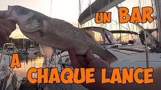 UN BAR A CHAQUE LANCE   PECHE DU BAR EN PORT [upl. by Kiona715]