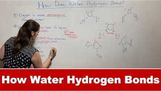 How Water Forms Hydrogen Bonds [upl. by Graces224]