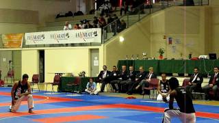 YOSEIKAN BUDO DEMO YOURI JENASTE 22032009 [upl. by Heppman283]