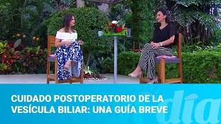 Cuidado postoperatorio de la vesícula biliar una guía breve [upl. by Leor765]