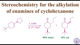 Stereochemistry for the alkylation of enamines of cyclohexanone [upl. by Gutow67]