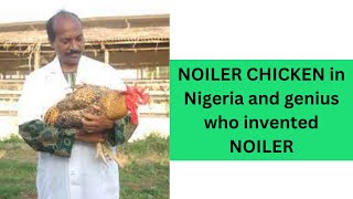 Noiler Chicken in Nigeria and genius who invented Noiler [upl. by Nailimixam905]