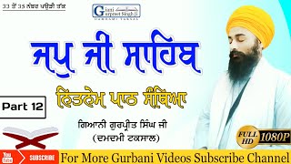 Part 12 Santhia Shri Japji Sahib ਸੰਥਿਆ ਸ੍ਰੀ ਜਪੁਜੀ ਸਾਹਿਬ  Giani Gurpreet Singh Ji Damdami Taksal [upl. by Thenna135]