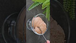 Gelato al cioccolato 🍫 tasty recipe food delicious yummy dessert icecream gelato cooking [upl. by Elish]