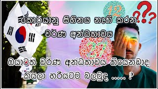 ඔයාටත් වර්ණ අන්ධතාවය තියෙනවද කියලා හරියටම බලමුද  Color Blind Test Sinhala  Korean with Aki [upl. by Azarcon]