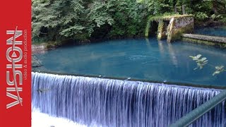 Krusnica  Bosna i Hercegovina Dokumentarni filmovi o prirodi [upl. by Newg330]