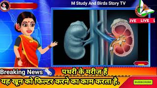 🥺किडनी स्टोन समस्या पढ़ सकती ये 🤔3 चीज खाने से बचे जादे 😁Causes Kidney Stones facts shorts scince [upl. by Gensmer914]