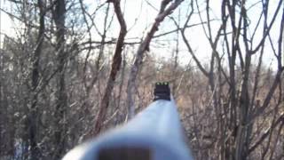 Deer Behavior In Swamps and Funnels  Late Season Deer Hunting [upl. by Tnairb953]