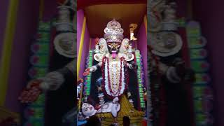 Bulbulchandi Boro Kali 🙏🏻 🌼  Malda  2024  youtubeshorts ✨✨ [upl. by Ayram]