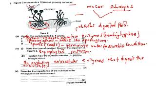 Saprophytic Nutrition  exam question full topic explained [upl. by Sakovich978]