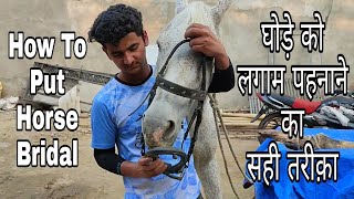 Horse Riding Training  घोड़े की लगाम कैसे लगाई जाती है How To Put Horse Bridal  Horse Club Uqaab [upl. by Iover329]