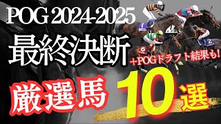 【POG】POG20242025「最終決断！厳選馬10頭」「ドラフト結果発表」【競馬】 [upl. by Atteinotna]