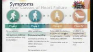 Lets Talk About Heart Failure  Turning failure into success 12 [upl. by Soph]