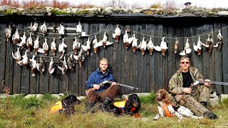 Rypejakt i Rypas Rike 2 Grouse Hunting  Ptarmigan Hunting  Lagopus [upl. by Acsicnarf]