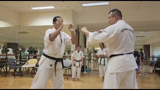 Ashihara Karate Introduction to Body Positioning tai sabaki  体捌き [upl. by Fernandez]