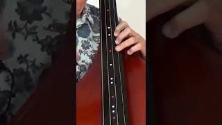 Posizione CROMATICA a capotasto in breve contrabbasso doublebass [upl. by Skipton]