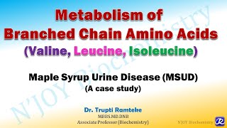 Branched Chain Amino Acid Metabolism  Protein Metabolism Biochemistry Lectures [upl. by Lebasi]