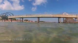 Quallen in der Ostsee  Kellenhusen Seebrücke [upl. by Caril816]