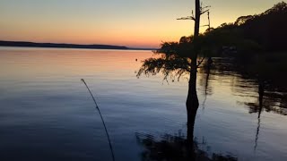 Live on Lake Darbonne catching Bream for catfish bait [upl. by Nawk646]