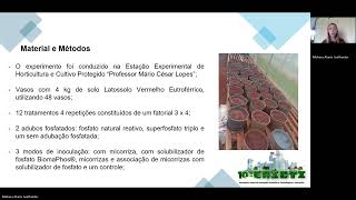 10° EAICTI  Correlação entre fósforo acumulado por plantas de milho associadas a micorrizas [upl. by Udale]